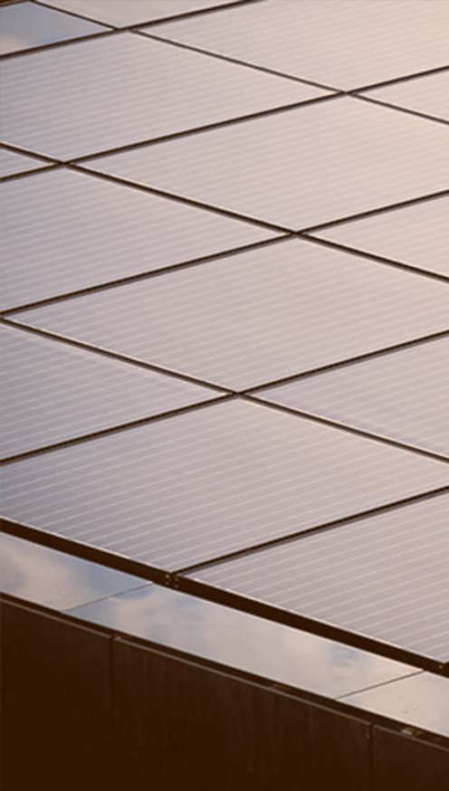 SUSTAINABILITY
CONSULTANCY